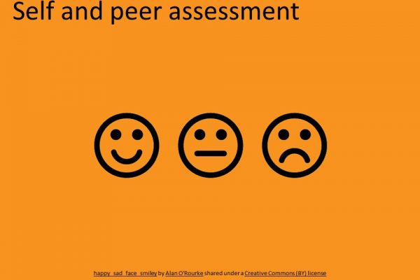 Self and peer assessment in a Marketing course